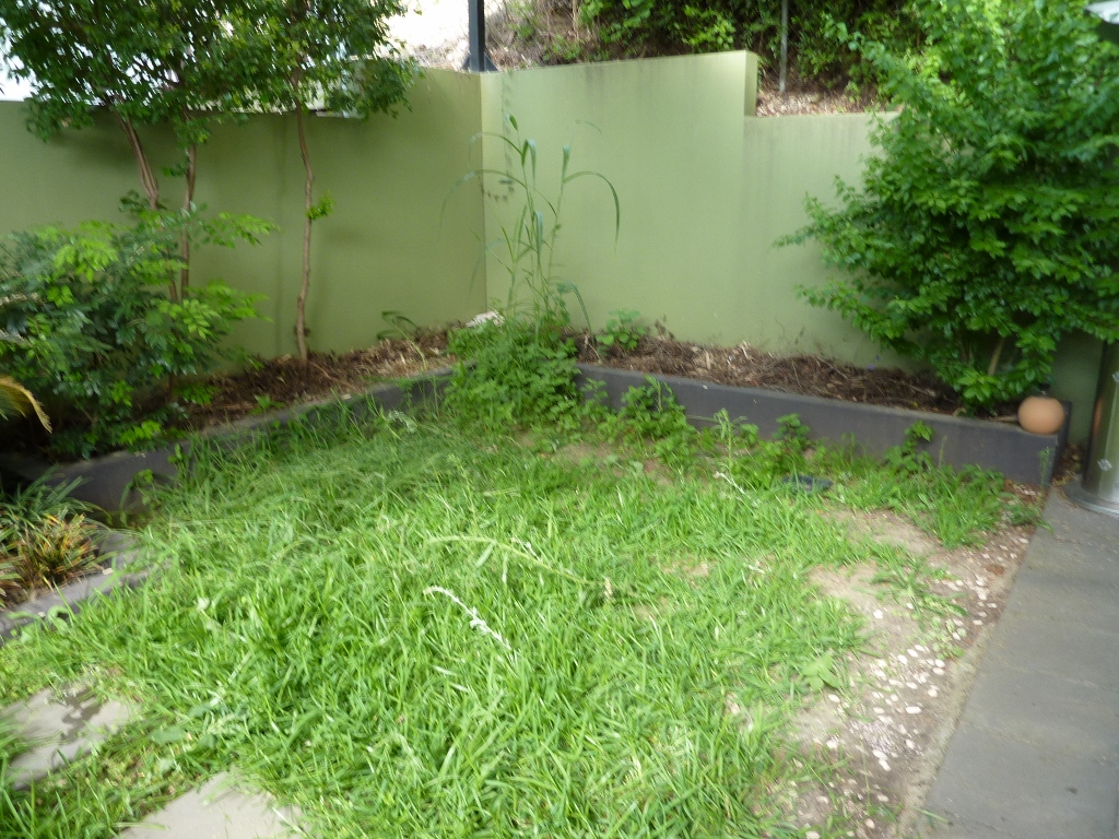 Before courtyard makeover looking east )